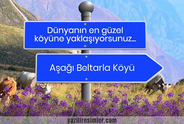 Aşağı Beltarla Köyü